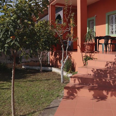 Vila 8 Krujë المظهر الخارجي الصورة